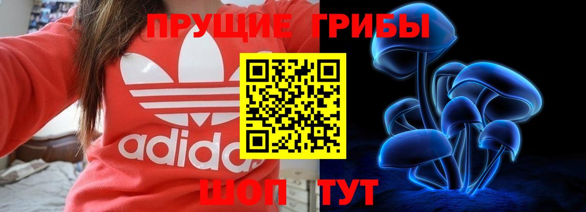 Галлюциногенные грибы Psilocybe Мариинск