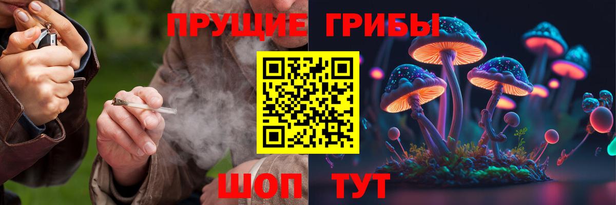 Галлюциногенные грибы Magic Shrooms  Псилоцибиновые грибы Magic Shrooms  наркошоп  Мариинск  Вход с VPN 